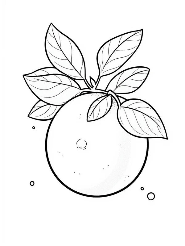 tranh tô màu quả cam 34