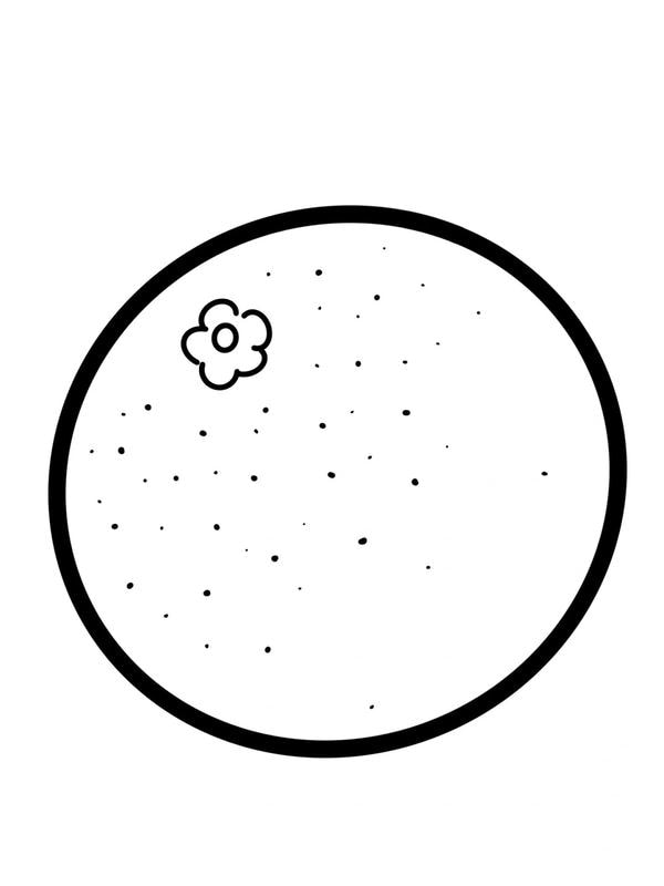 tranh tô màu quả cam 35