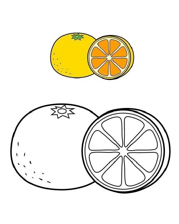 tranh tô màu quả cam 37