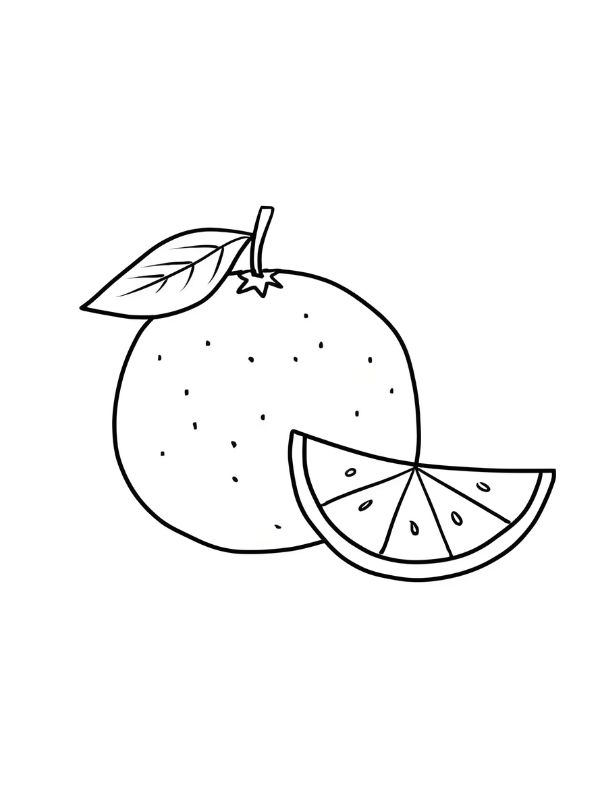 tranh tô màu quả cam 4