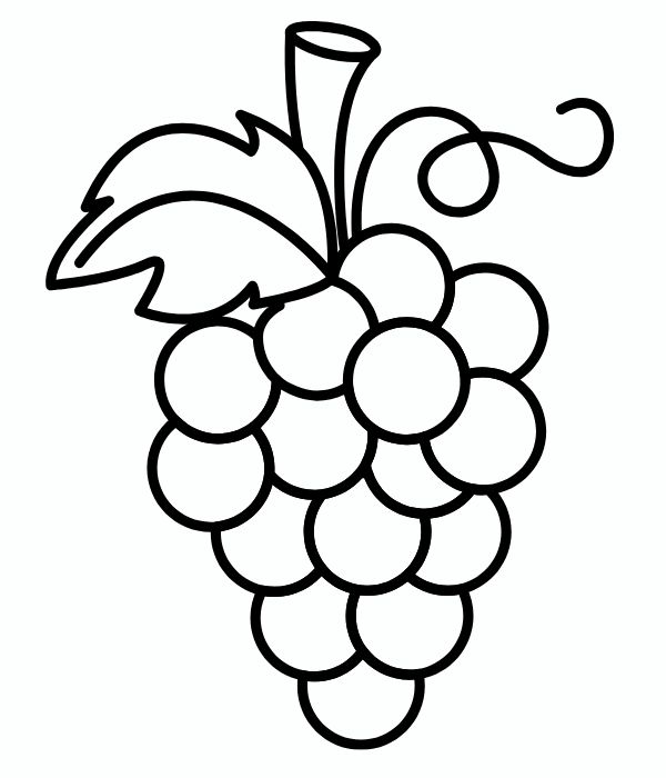 chùm nho tô màu