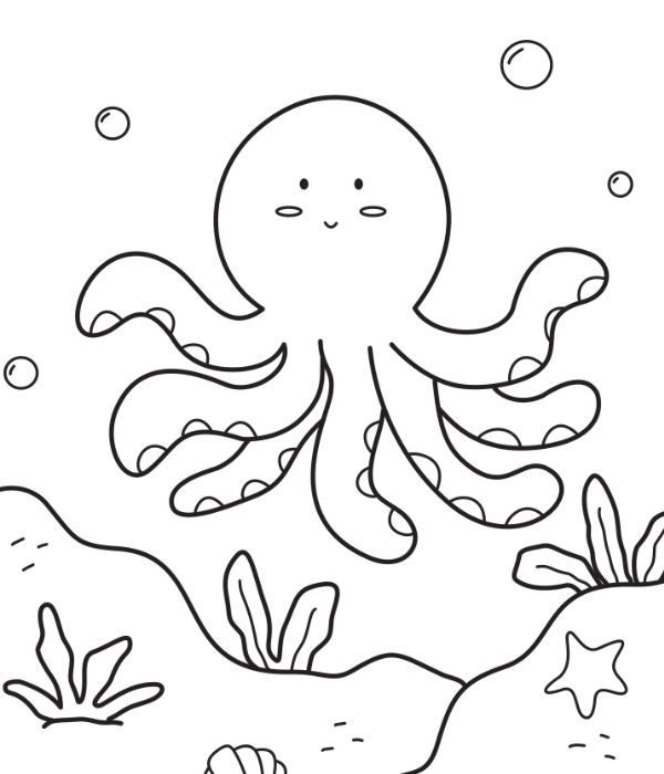 con bạch tuộc tô màu