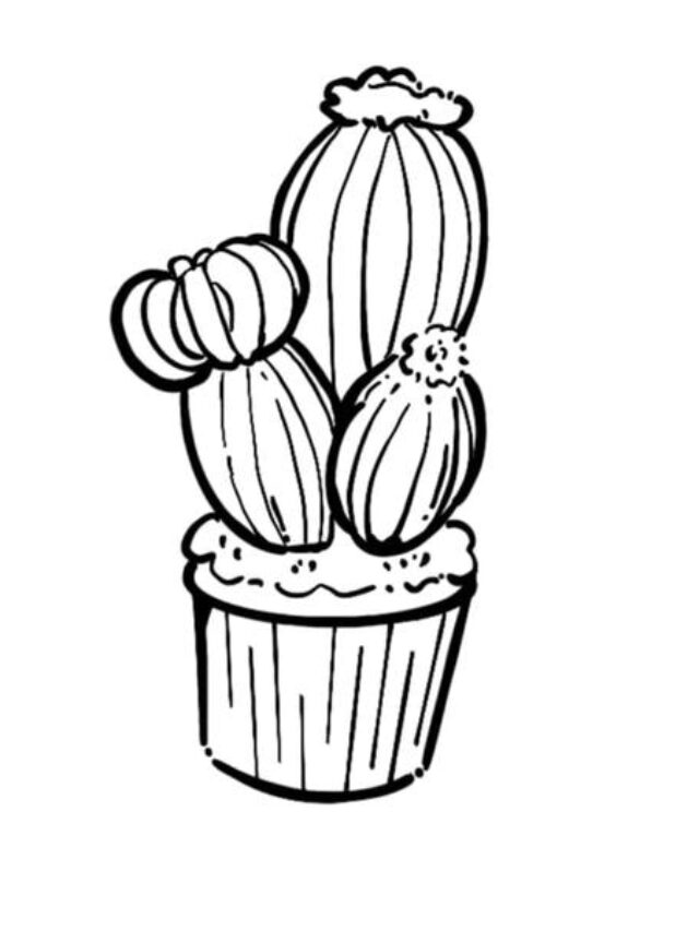 tô màu cây xương rồng 32