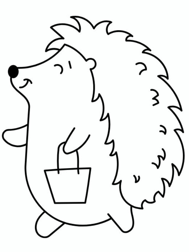 tô màu con nhím 20