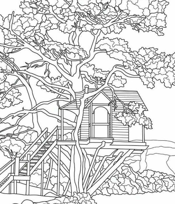 hình tô màu nhà sàn