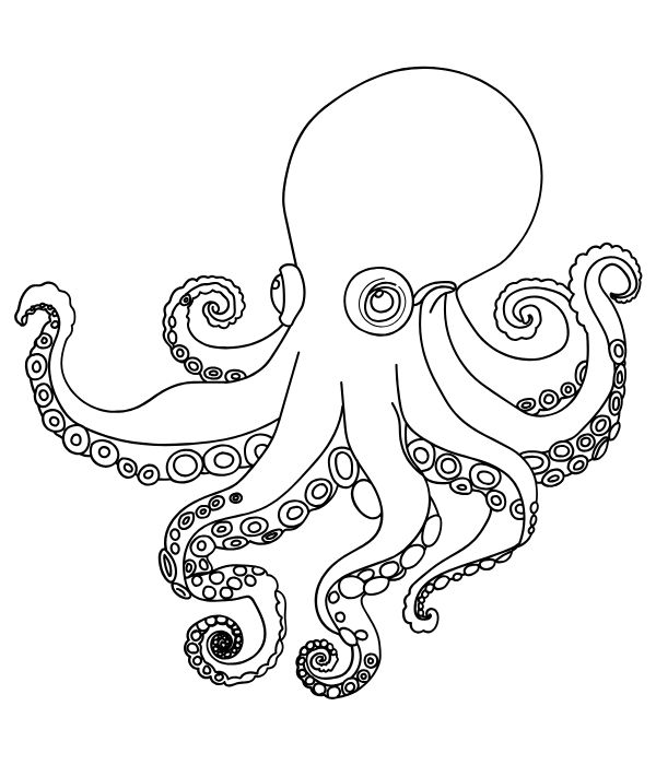 tô màu bạch tuộc 18