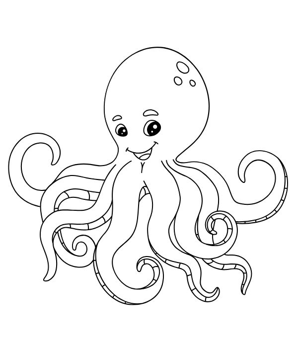 tô màu bạch tuộc 2