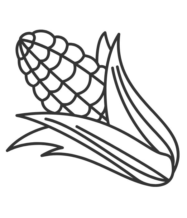 tô màu bắp ngô 1