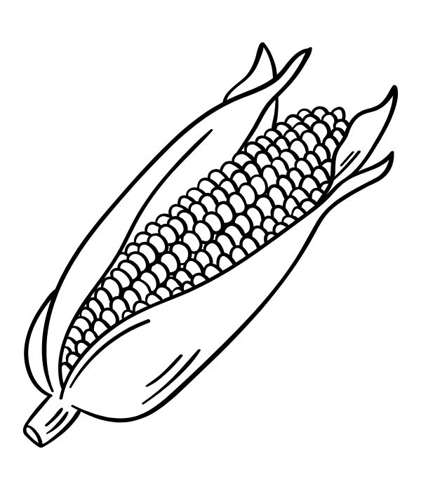 tô màu bắp ngô 12