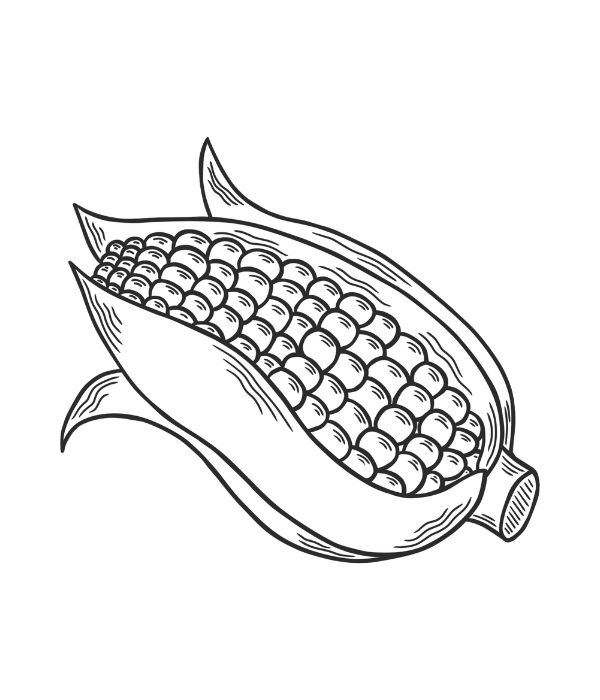 tô màu bắp ngô 13