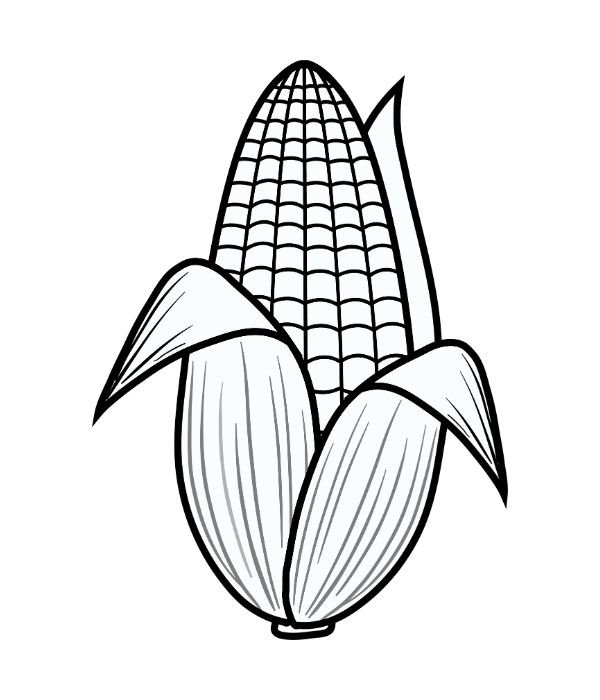 tô màu bắp ngô 16