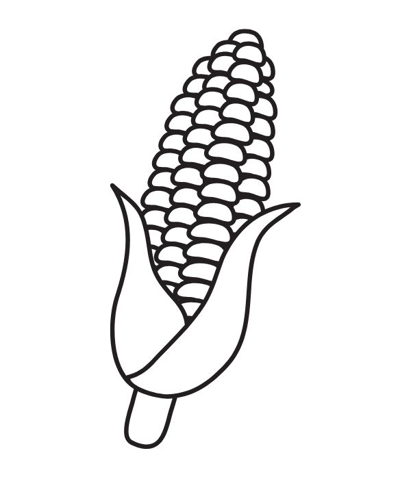 tô màu bắp ngô 21
