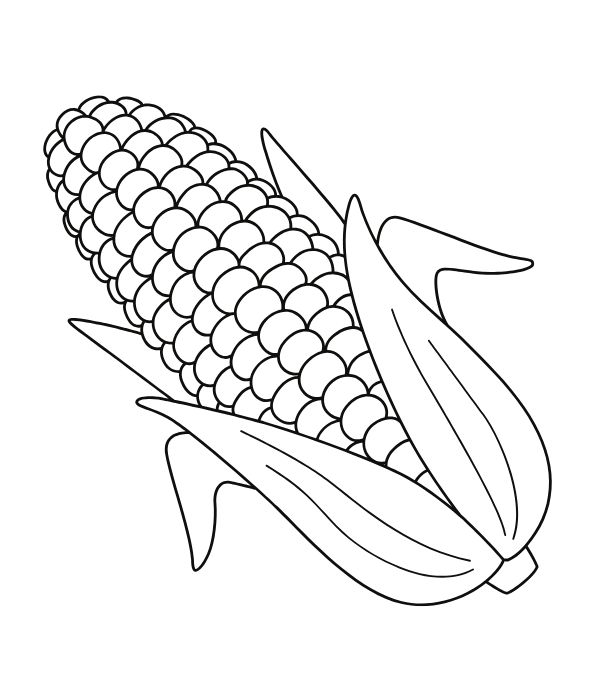 tô màu bắp ngô 3