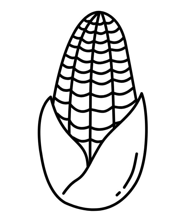 tô màu bắp ngô 4