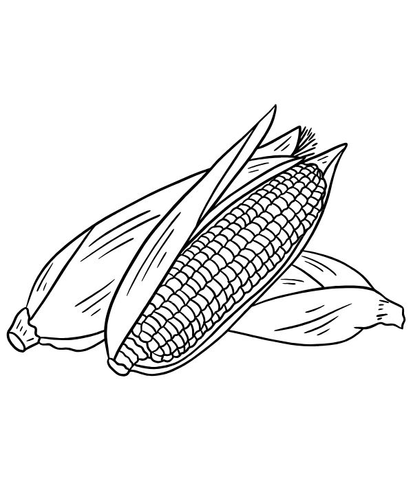 tô màu bắp ngô 7