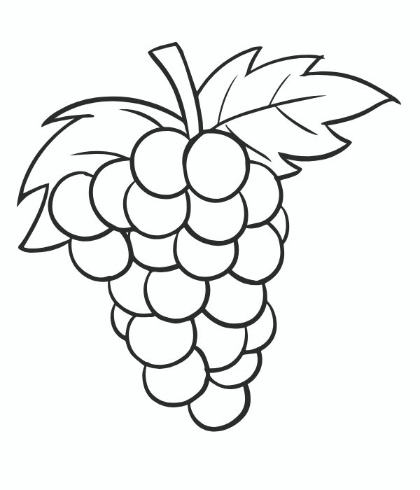 tô màu chùm nho 15