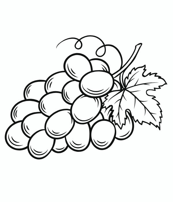 tô màu chùm nho 16