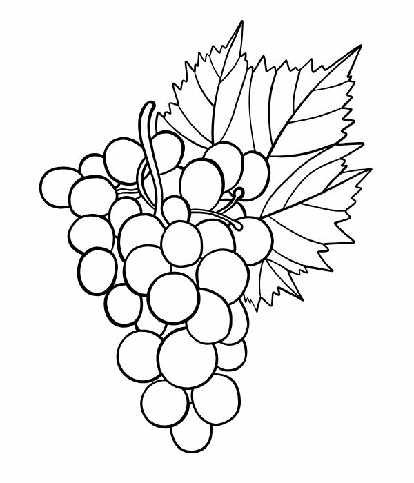 tô màu chùm nho 2