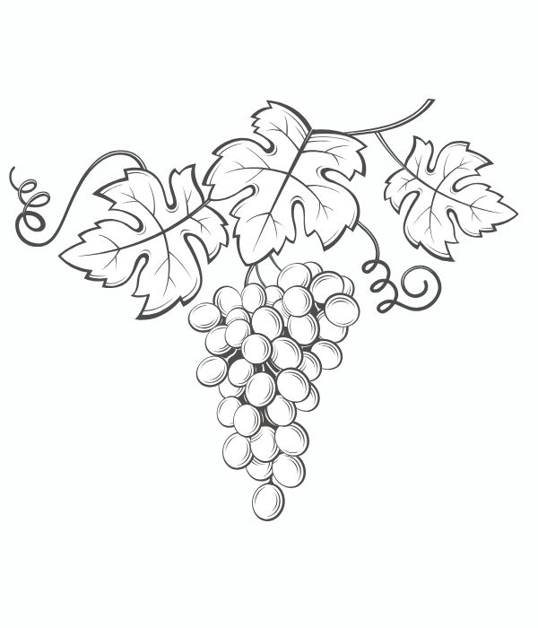 tô màu chùm nho 23