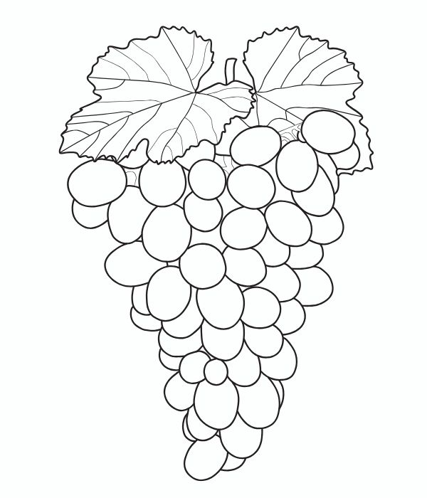 tô màu chùm nho 25