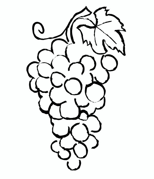 tô màu chùm nho 26
