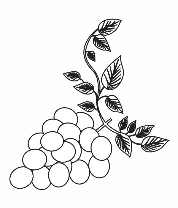 tô màu chùm nho 28