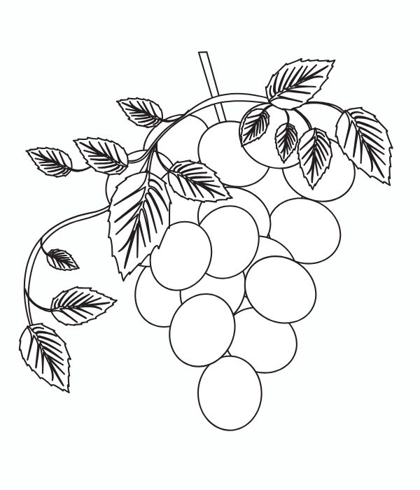 tô màu chùm nho 29
