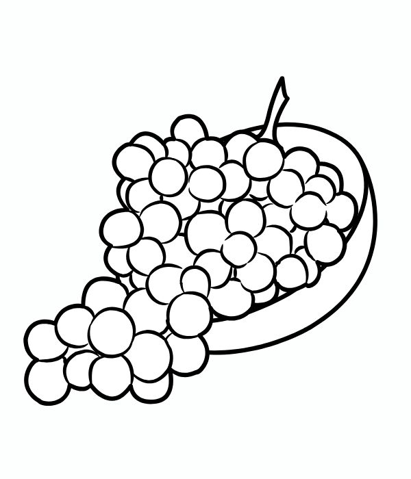 tô màu chùm nho 7