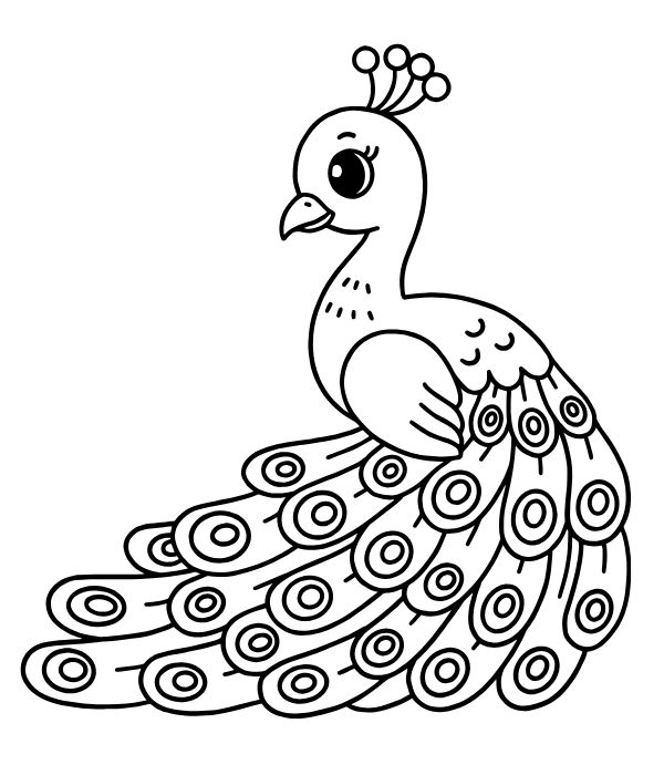 tô màu con công 1