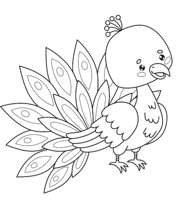 tô màu con công 2