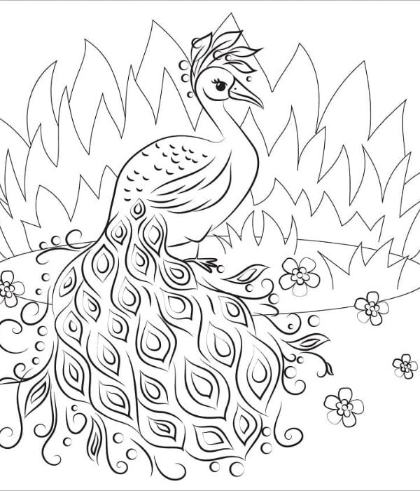 tô màu con công 23