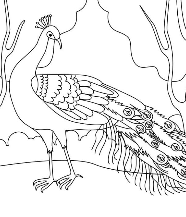 tô màu con công 25