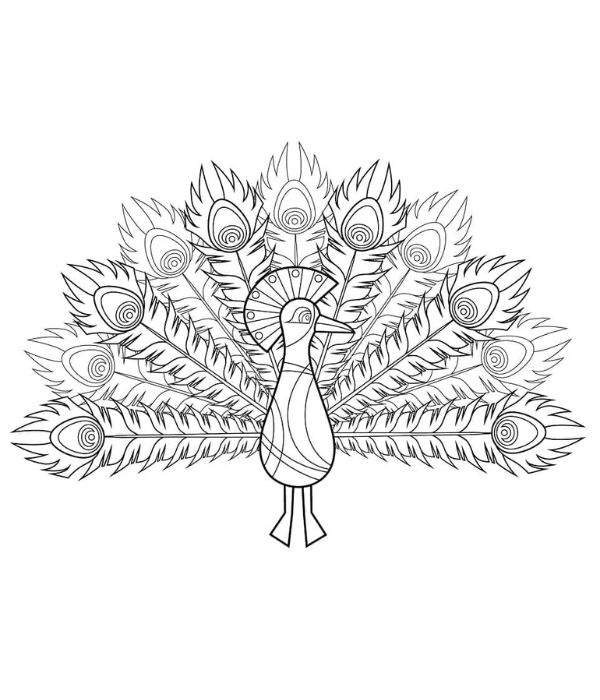 tô màu con công 27