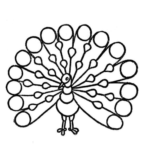 tô màu con công 30