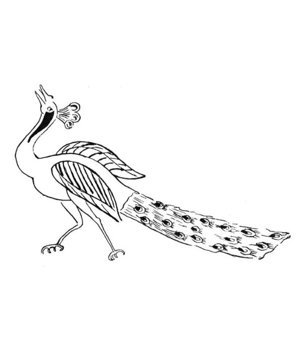 tô màu con công 35