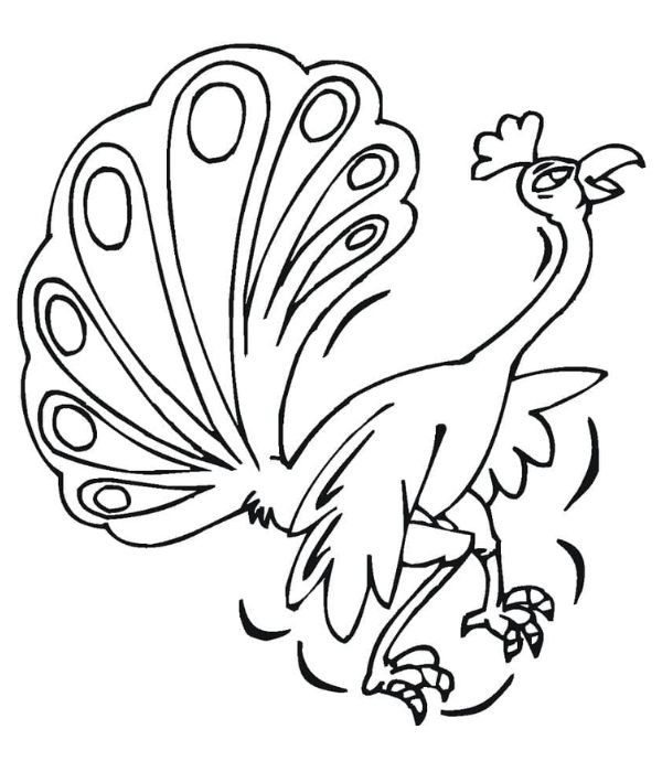 tô màu con công 38