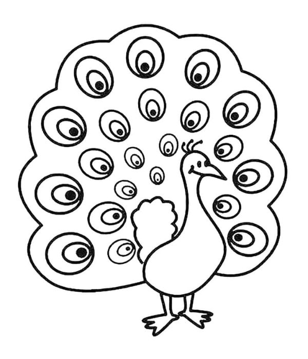 tô màu con công 4