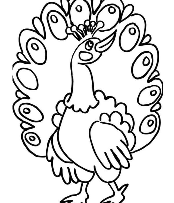 tô màu con công 40