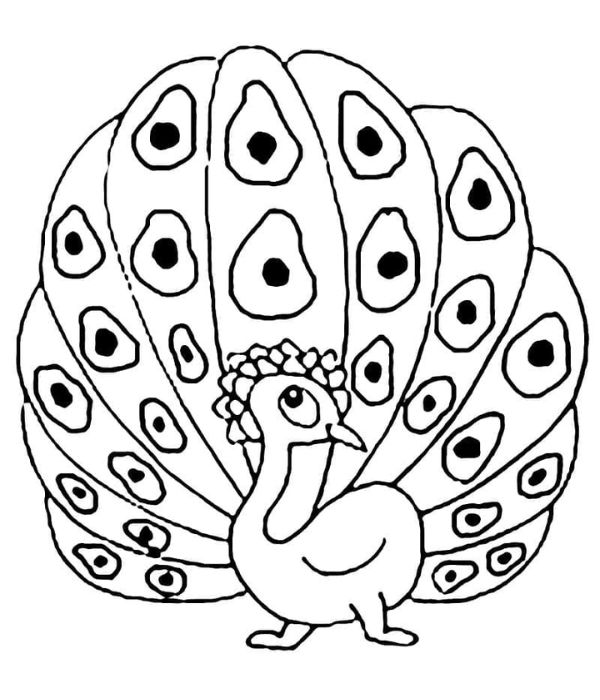 tô màu con công 5