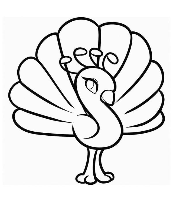 tô màu con công 7