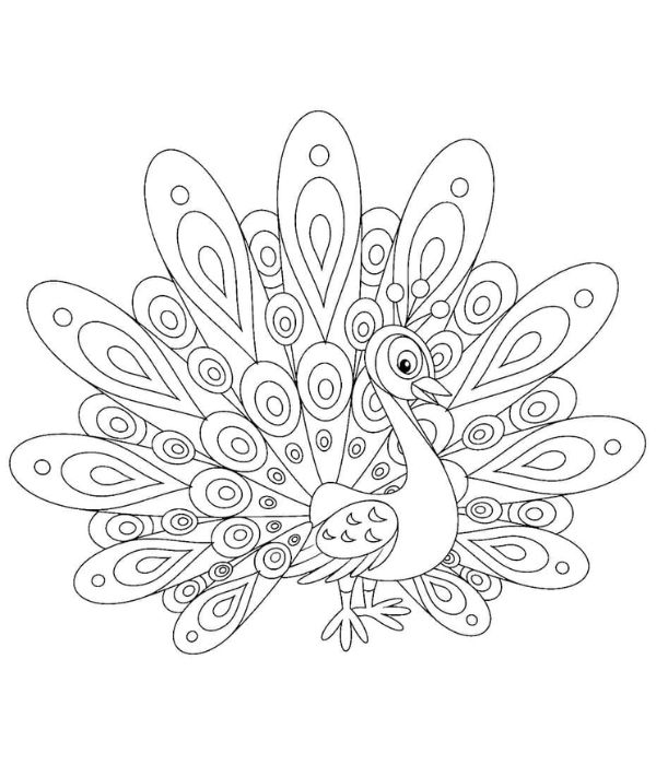 tô màu con công 8