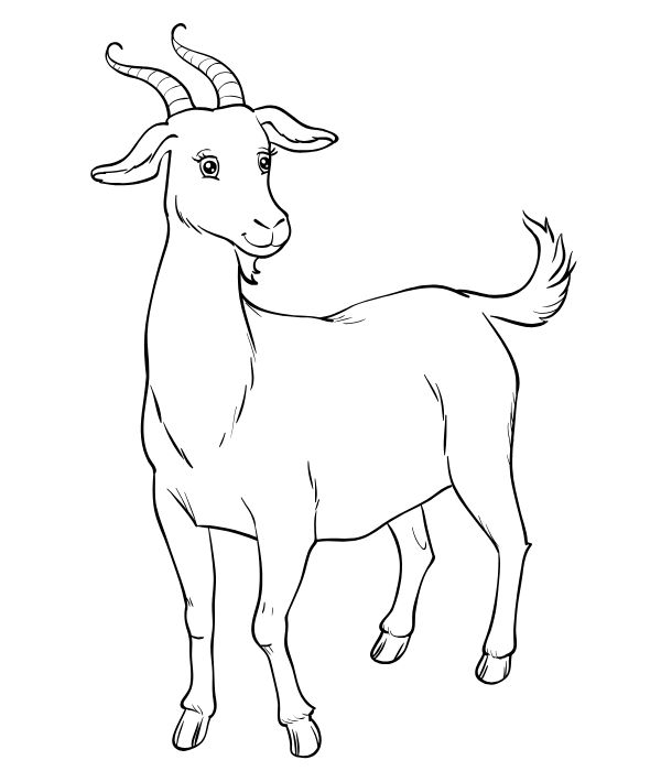 tô màu con dê 10