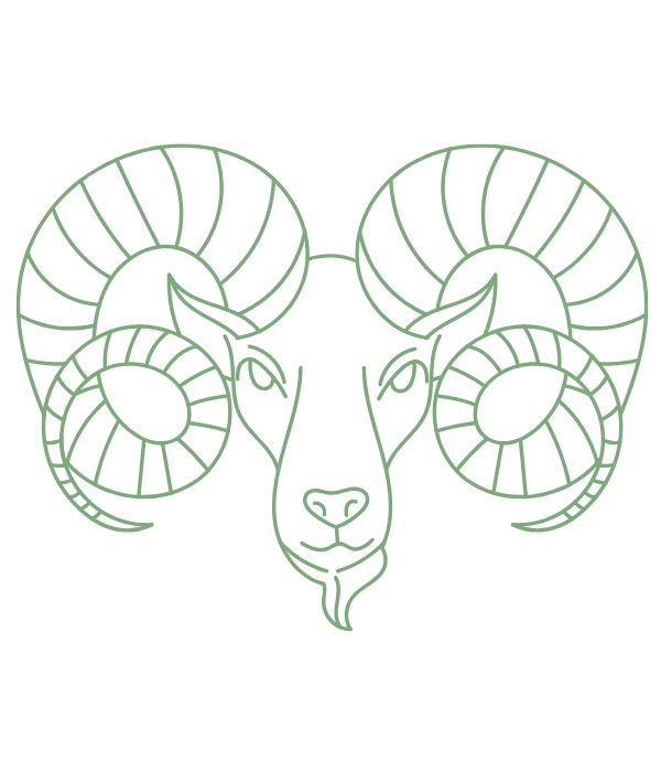 tô màu con dê 22