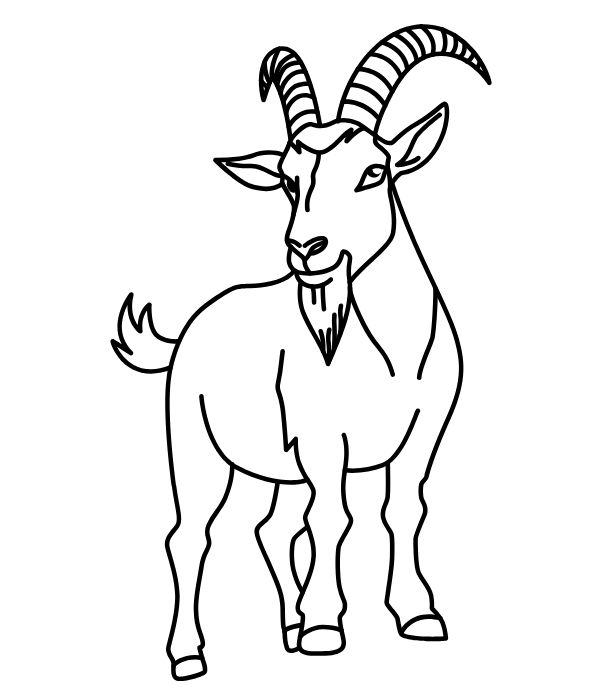 tô màu con dê 32