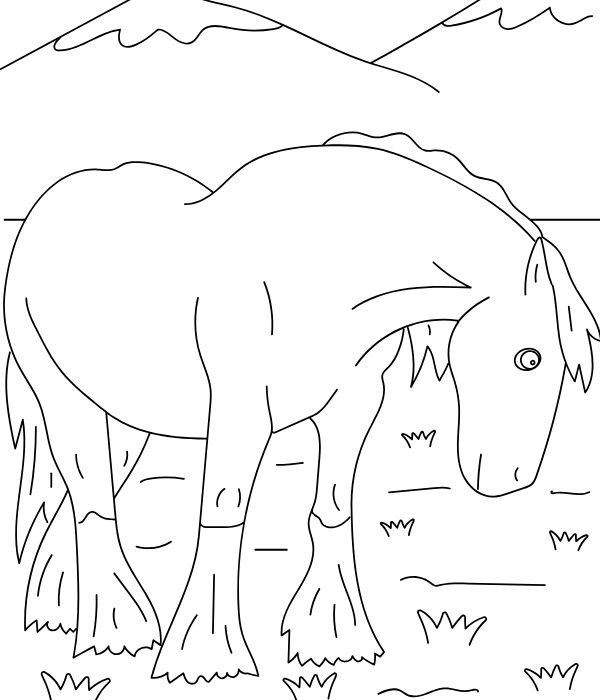 tô màu con ngựa 17