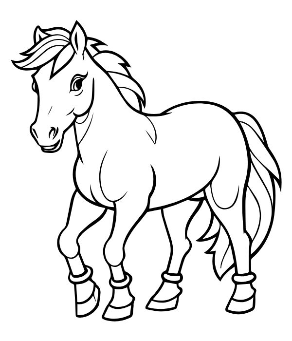 tô màu con ngựa 2