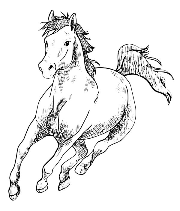 tô màu con ngựa 21
