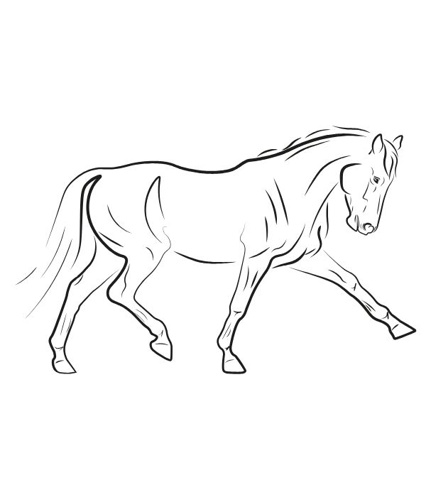 tô màu con ngựa 22