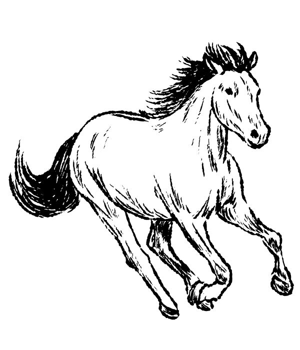tô màu con ngựa 23