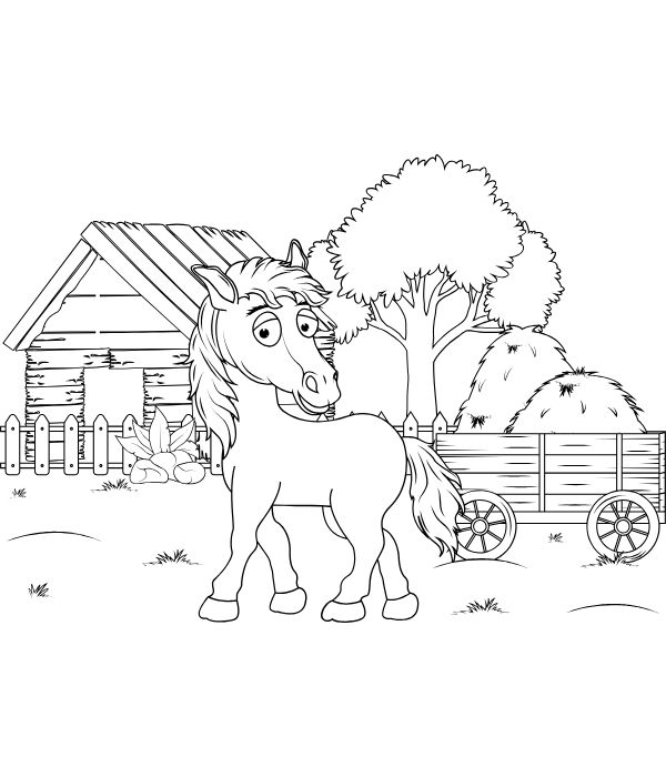 tô màu con ngựa 24